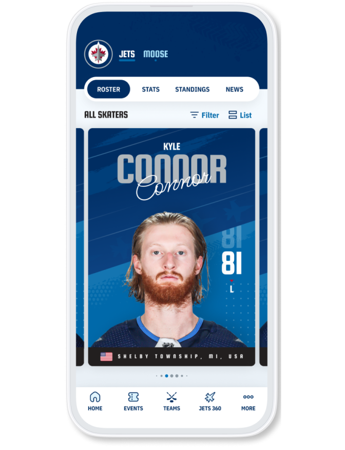 Player roster interface