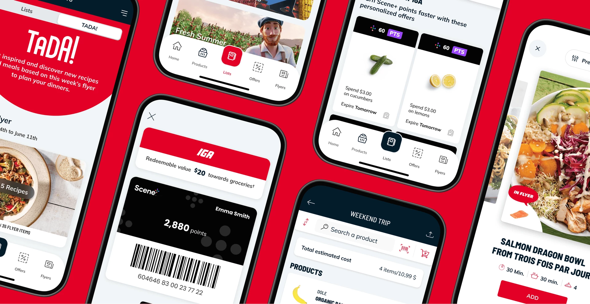 Overview of IGA application