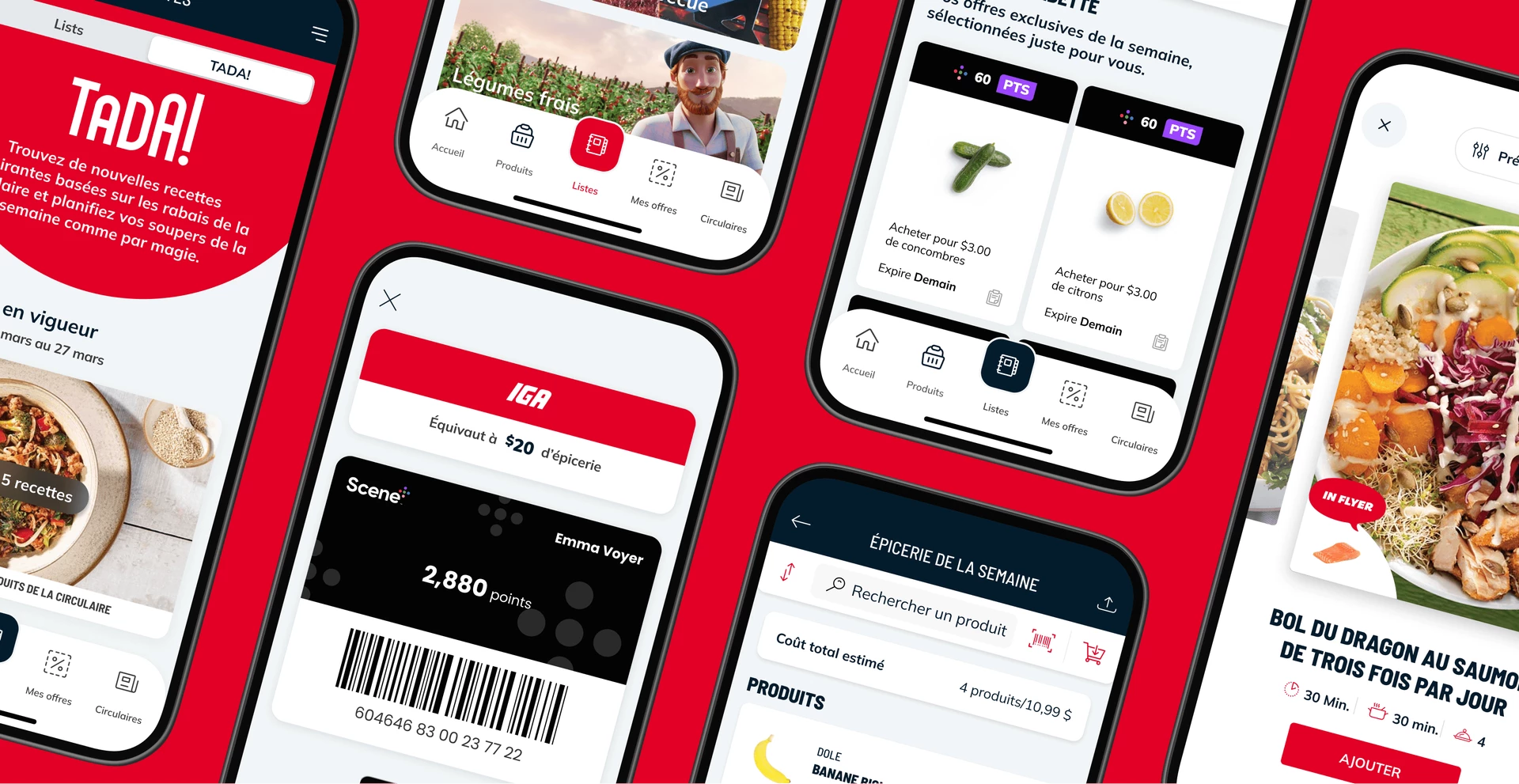Vue d'ensemble de l'application IGA